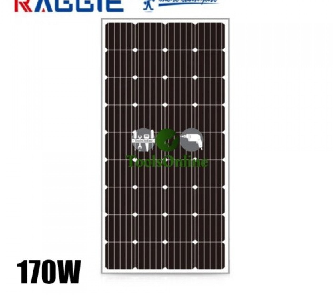 Low Voltage Monocrystalline Panel 170W